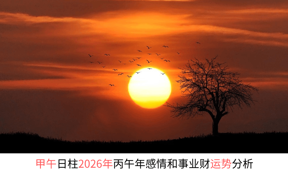 甲午日柱2026年丙午年感情和事业财运势分析