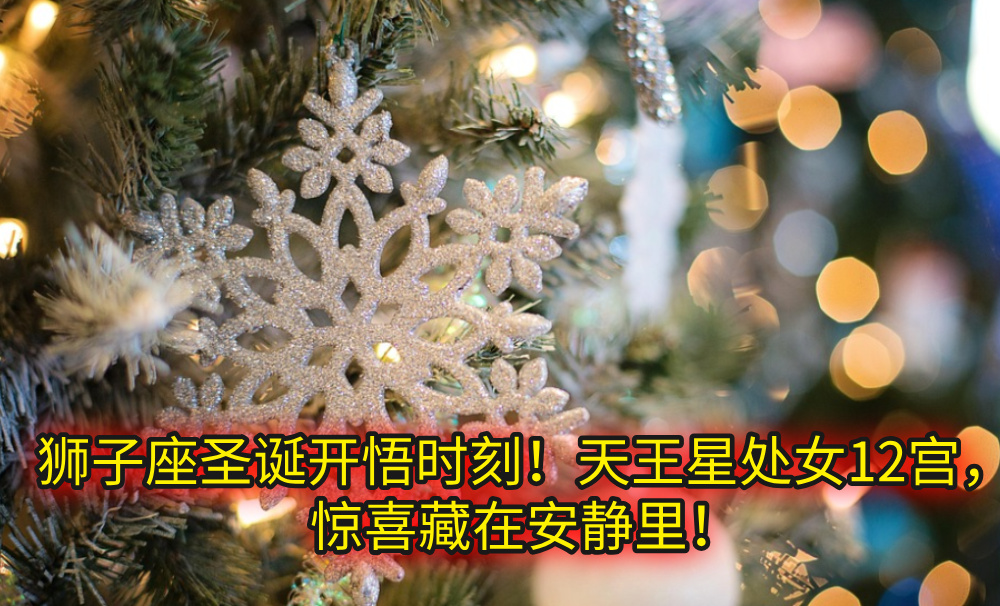 狮子座圣诞开悟时刻！天王星处女12宫，惊喜藏在安静里！