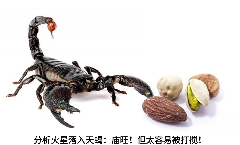 分析火星落入天蝎：庙旺！但太容易被打搅！