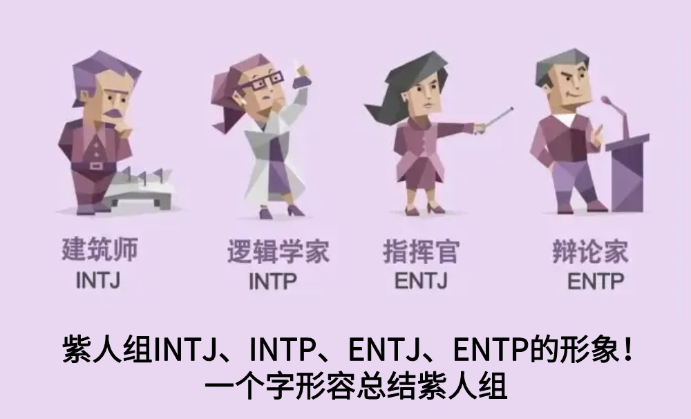 紫人组INTJ、INTP、ENTJ、ENTP的形象！一个字形容总结紫人组