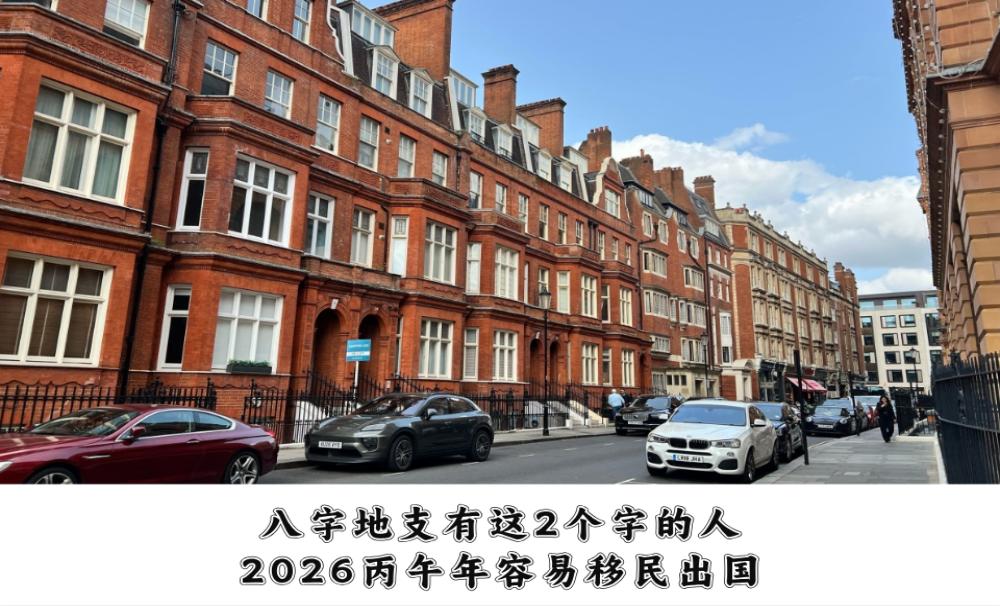 八字地支有这2个字的人，2026丙午年容易移民出国