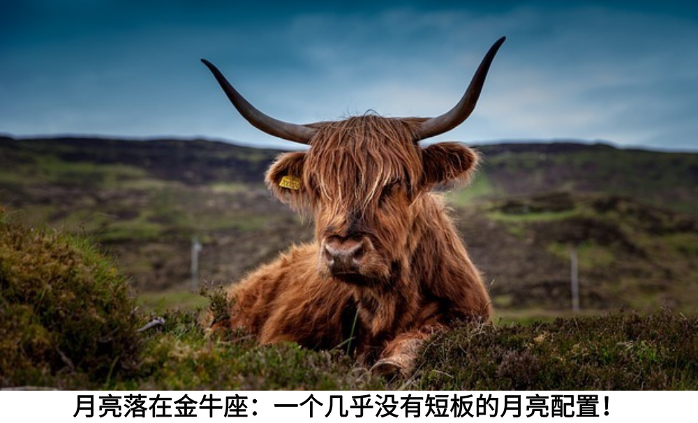 月亮落在金牛座:一个几乎没有短板的月亮配置!