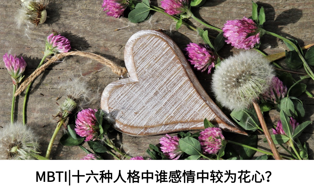 MBTI|十六种人格中谁感情中较为花心？