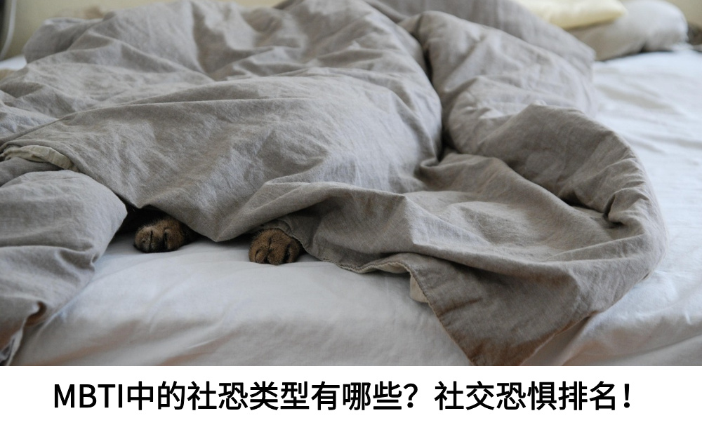MBTI中的社恐类型有哪些？社交恐惧排名！