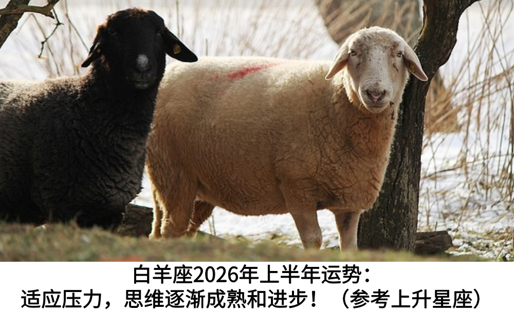 白羊座2026年上半年运势:适应压力,思维逐渐成熟和进步!(参考上升星座)