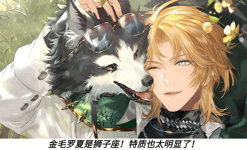 金毛罗夏是狮子座！特质也太明显了！