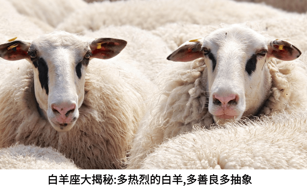 白羊座大揭秘:多热烈的白羊,多善良多抽象