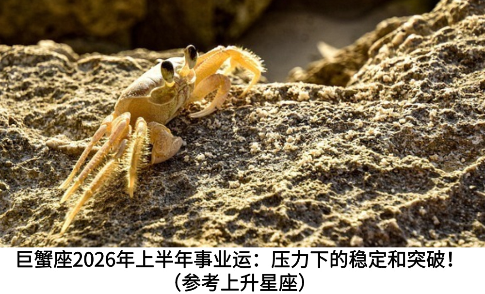 巨蟹座2026年上半年事业运:压力下的稳定和突破!(参考上升星座)