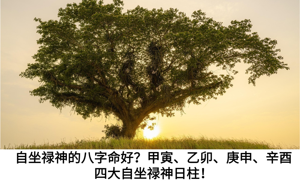 自坐禄神的八字命好？甲寅、乙卯、庚申、辛酉四大自坐禄神日柱！