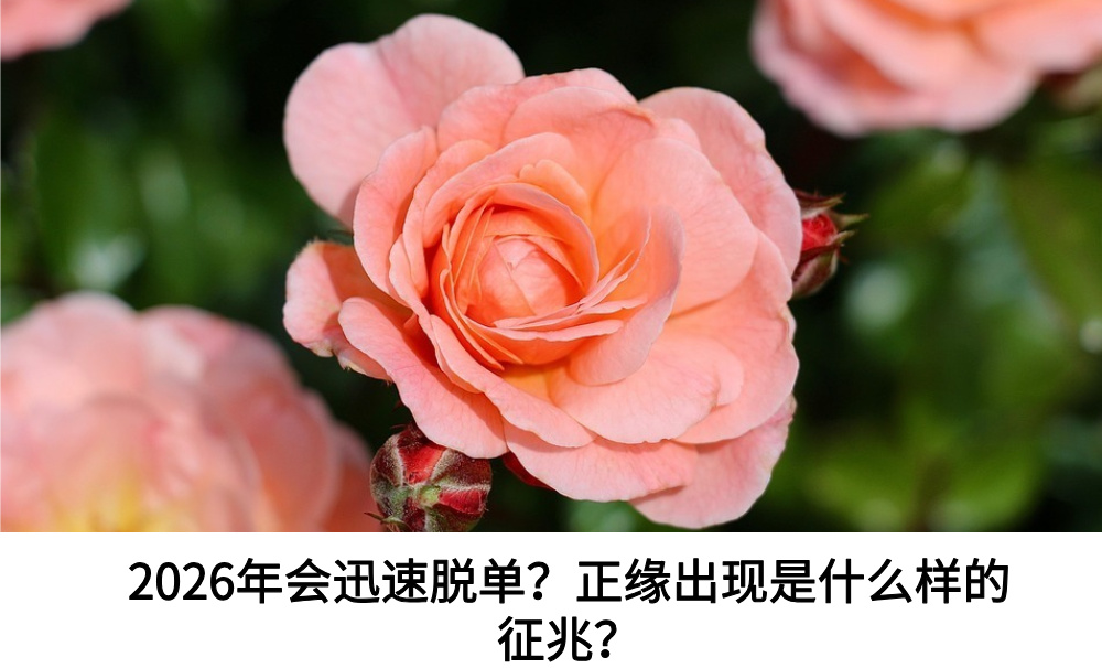 2026年会迅速脱单？正缘出现是什么样的征兆？