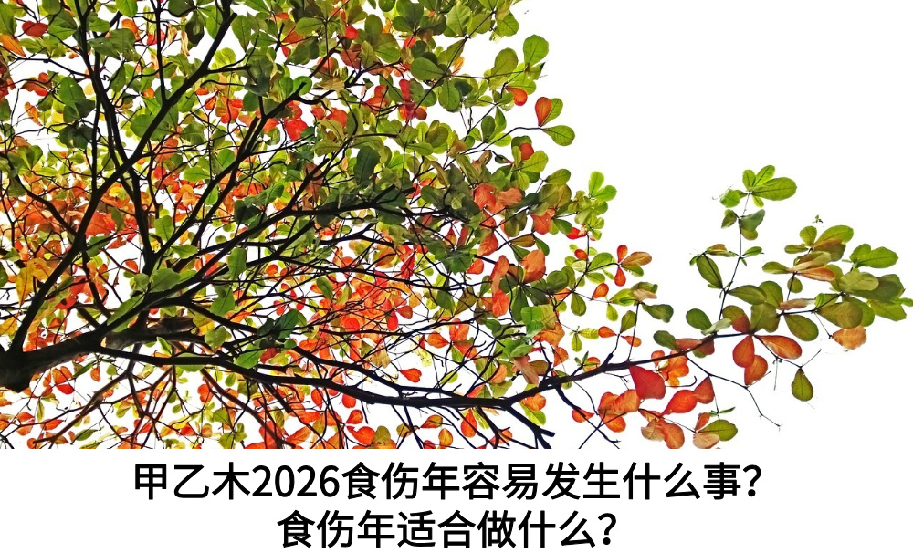 甲乙木2026食伤年容易发生什么事?食伤年适合做什么?