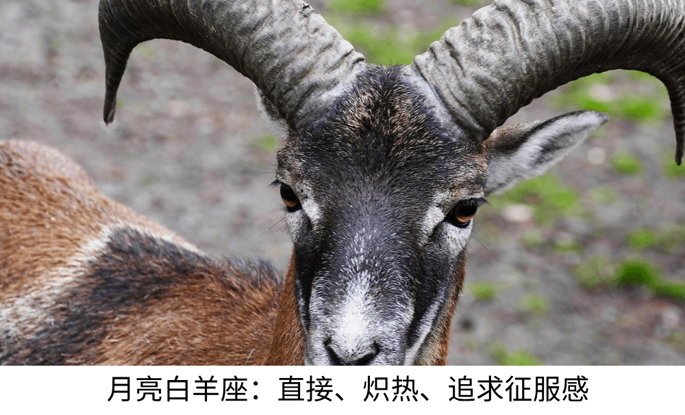 月亮白羊座：直接、炽热、追求征服感