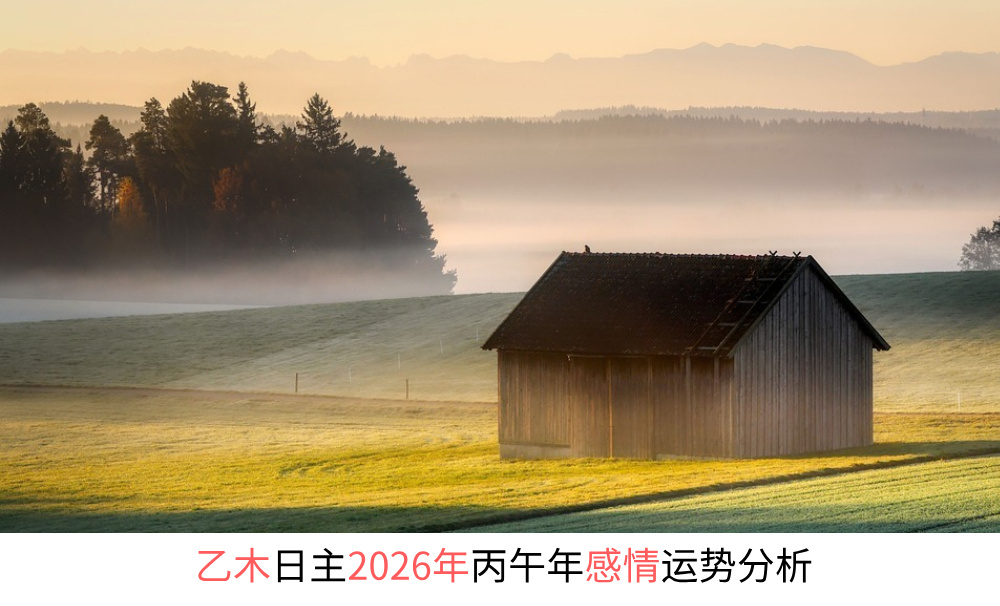 乙木日主2026年丙午年感情运势分析