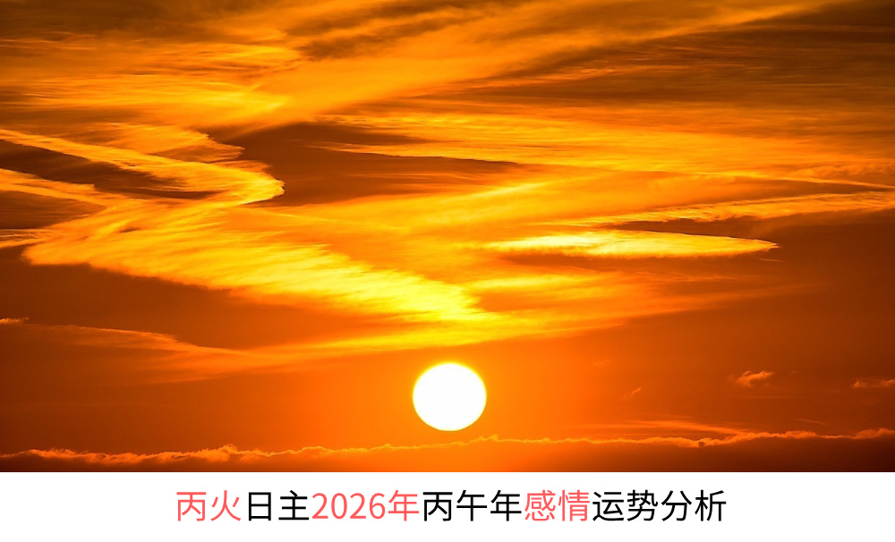 丙火日主2026年丙午年感情运势分析
