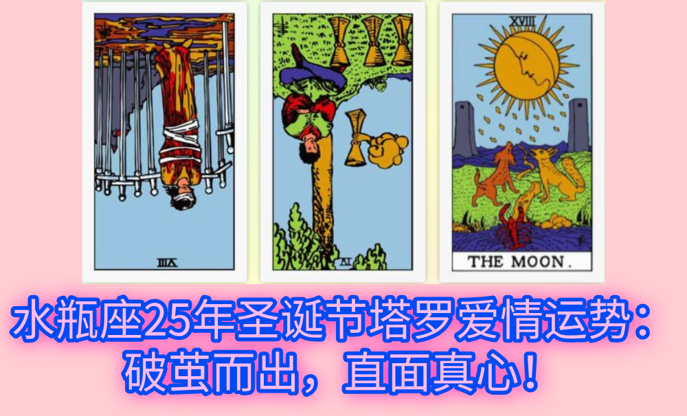 水瓶座25年圣诞节塔罗爱情运势:破茧而出,直面真心!