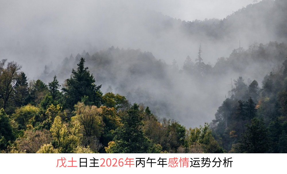戊土日主2026年丙午年感情运势分析