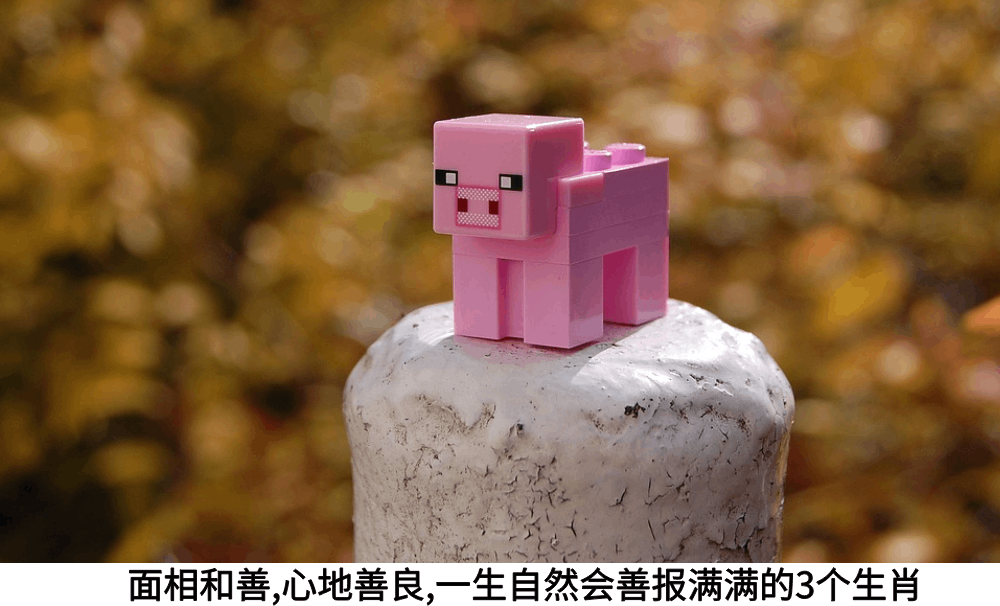 面相和善，心地善良，一生自然会善报满满的3个生肖！