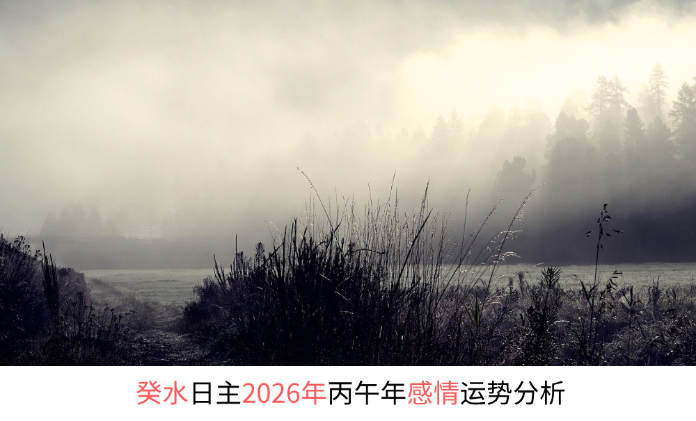 癸水日主2026年丙午年感情运势分析