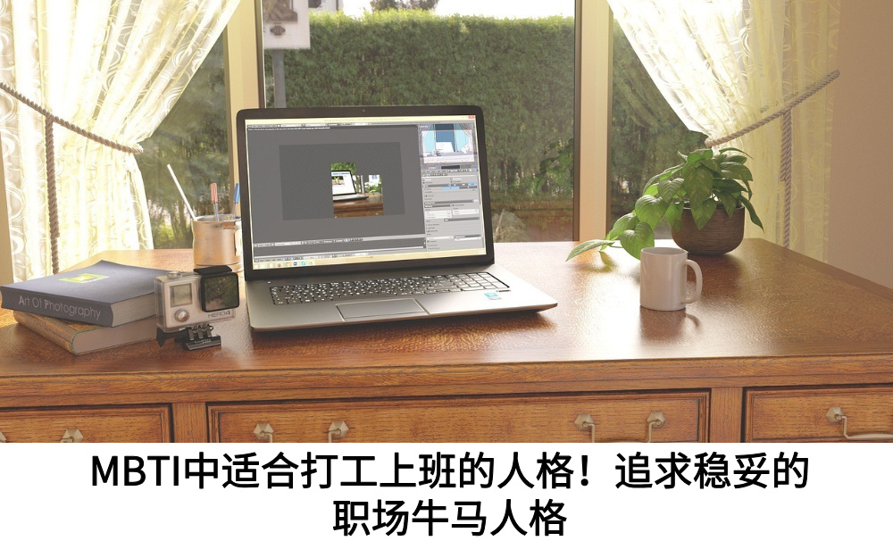 MBTI中适合打工上班的人格!追求稳妥的职场牛马人格