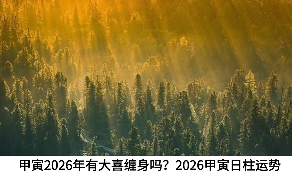 甲寅2026年有大喜缠身吗?2026甲寅日柱运势