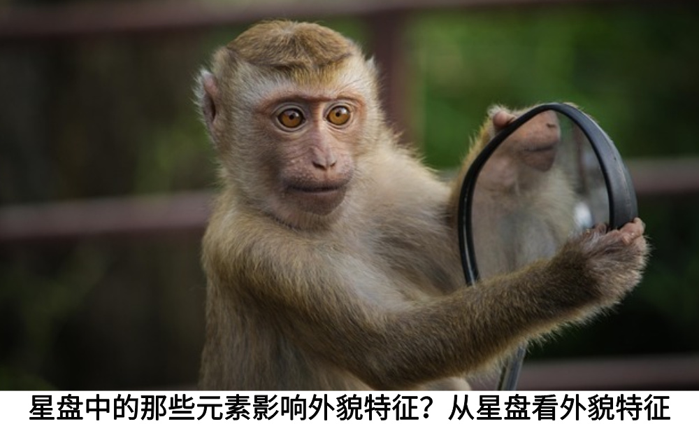 星盘中的那些元素影响外貌特征？从星盘看外貌特征