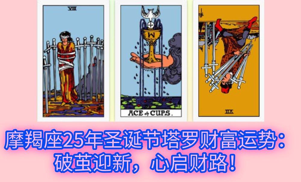 摩羯座25年圣诞节塔罗财富运势：破茧迎新，心启财路！