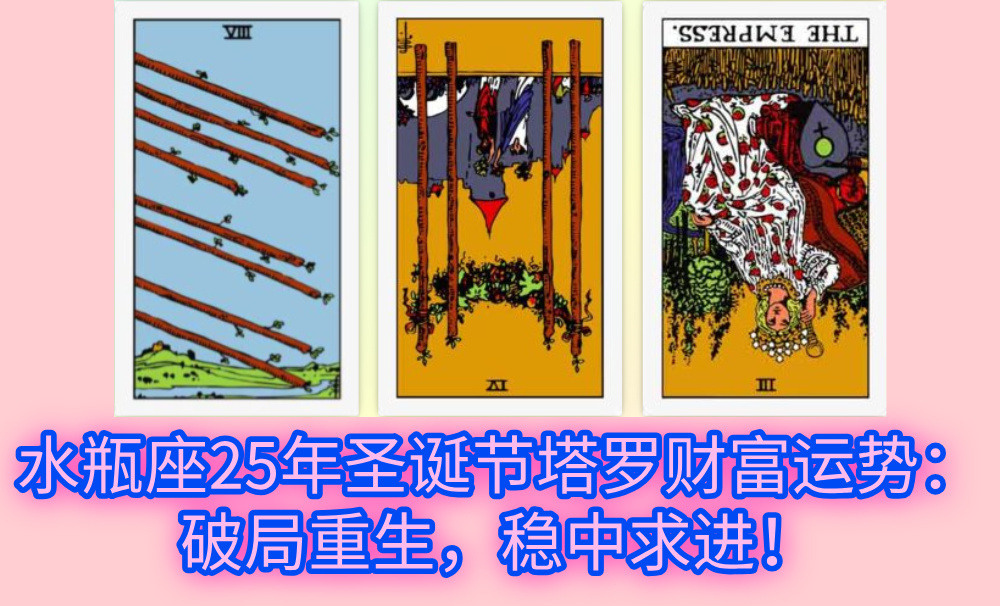 水瓶座25年圣诞节塔罗财富运势：破局重生，稳中求进！