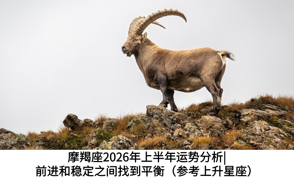 摩羯座2026年上半年运势分析|前进和稳定之间找到平衡（参考上升星座）