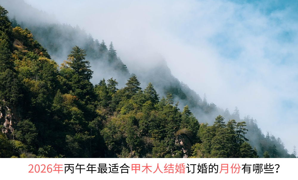 2026年最适合甲木人结婚订婚的月份有哪些？