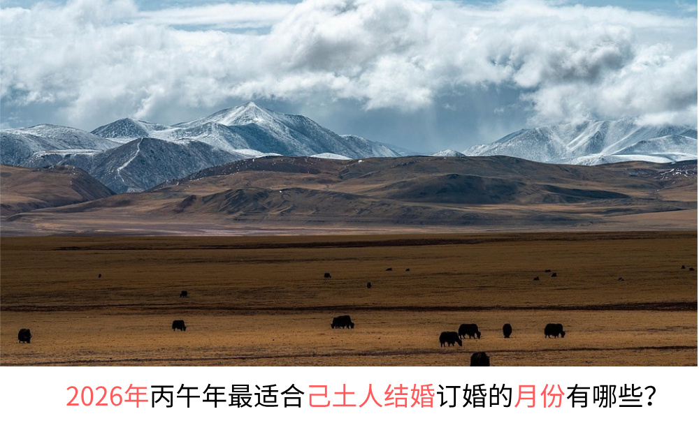 2026年最适合己土人结婚订婚的月份有哪些？