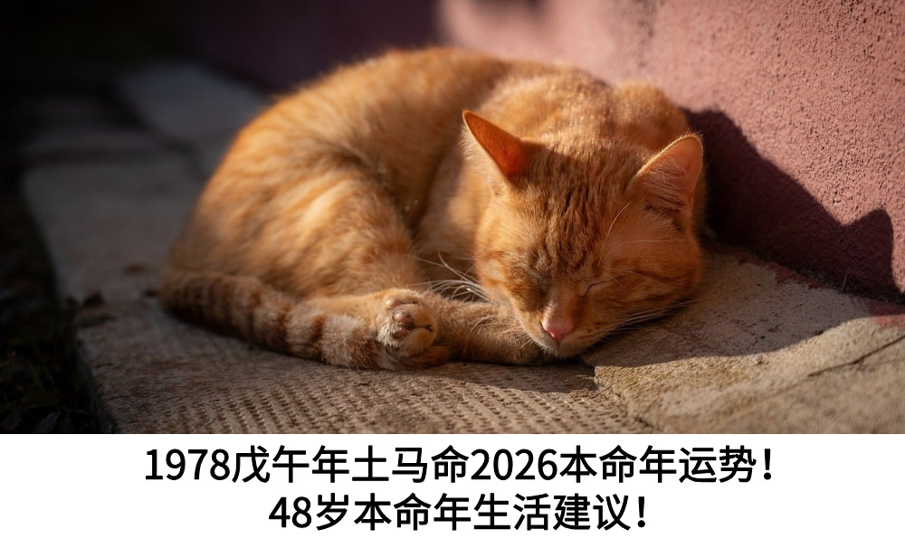 1978戊午年土马命2026本命年运势！48岁本命年生活建议！
