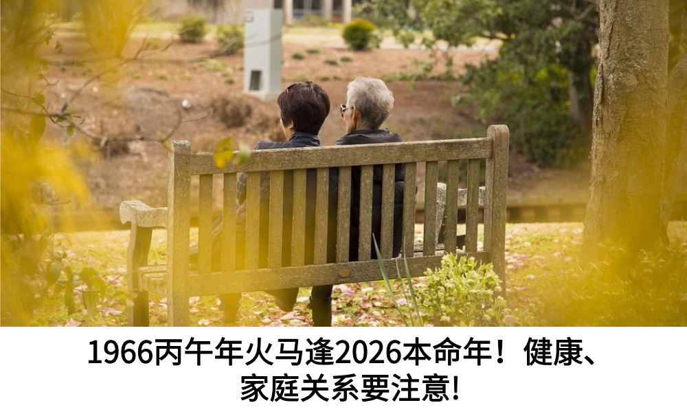 1966丙午年火马逢2026本命年！健康、家庭关系要注意!