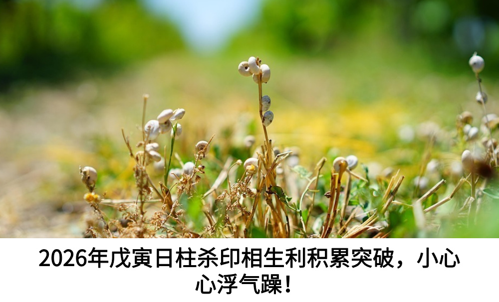 2026年戊寅日柱杀印相生利积累突破，小心心浮气躁！