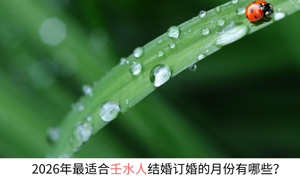 2026年最适合癸水人结婚订婚的月份有哪些？
