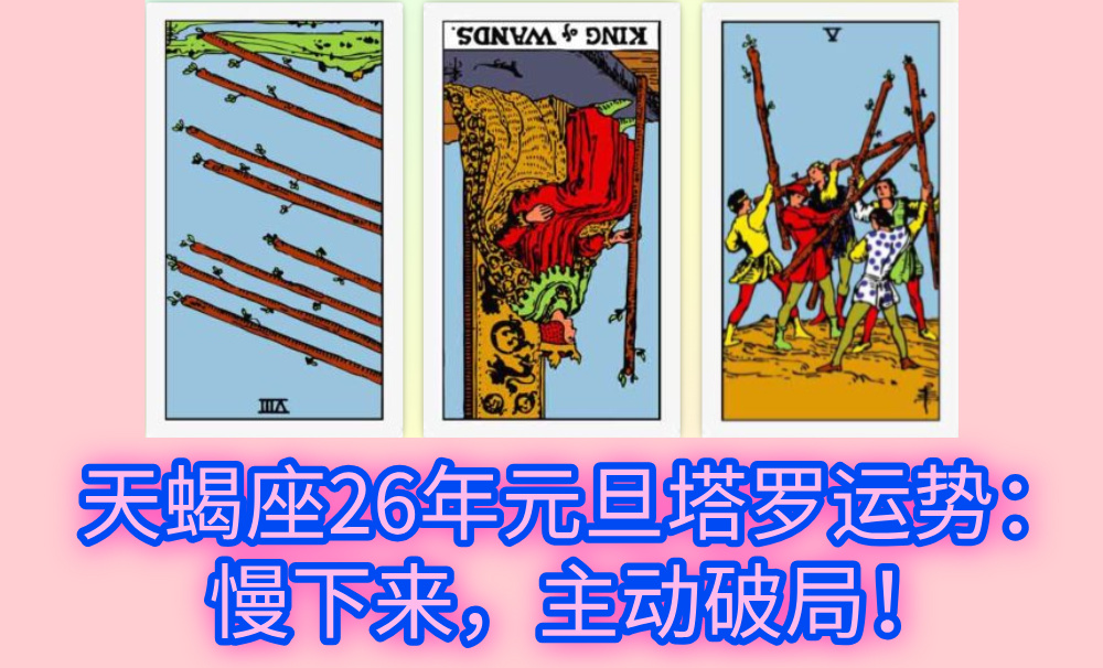 天蝎座26年元旦塔罗运势：慢下来，主动破局！