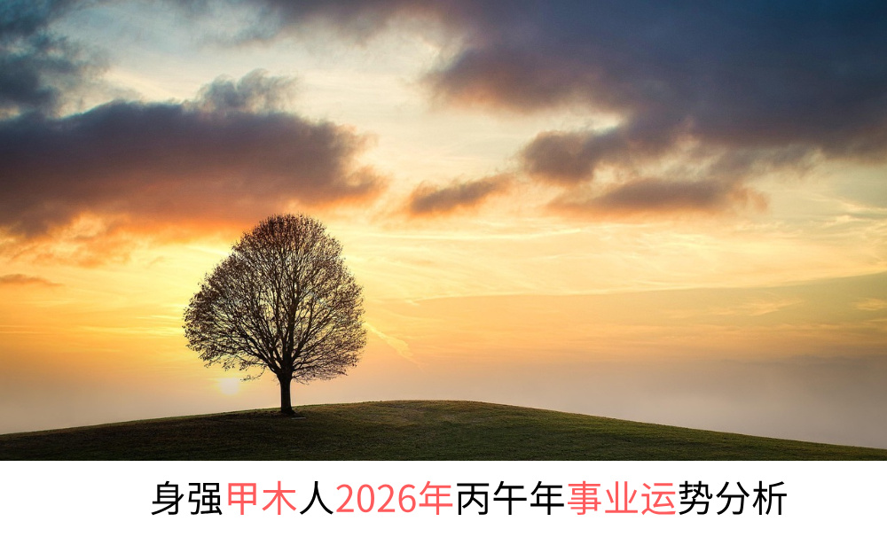 身强甲木人2026年丙午年事业运势分析