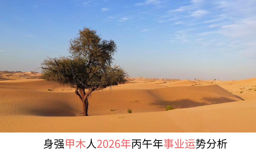 身弱甲木人2026年丙午年事业运势分析
