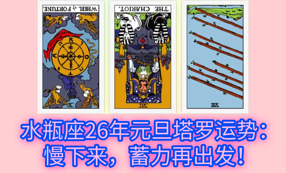 水瓶座26年元旦塔罗运势：慢下来，蓄力再出发！