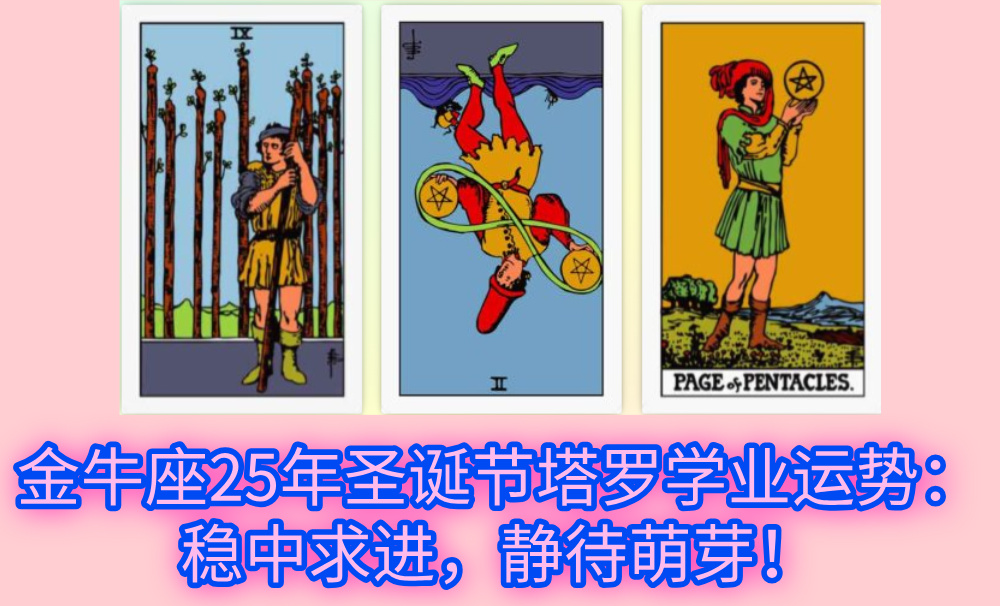 金牛座25年圣诞节塔罗学业运势：稳中求进，静待萌芽！