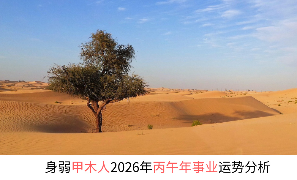 身弱甲木人2026年丙午年事业运势分析