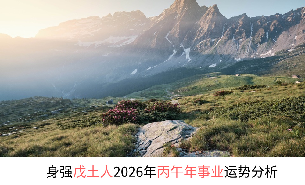 身强戊土人2026年丙午年事业运势分析
