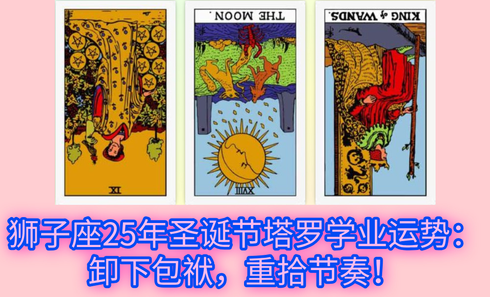狮子座25年圣诞节塔罗学业运势：卸下包袱，重拾节奏！