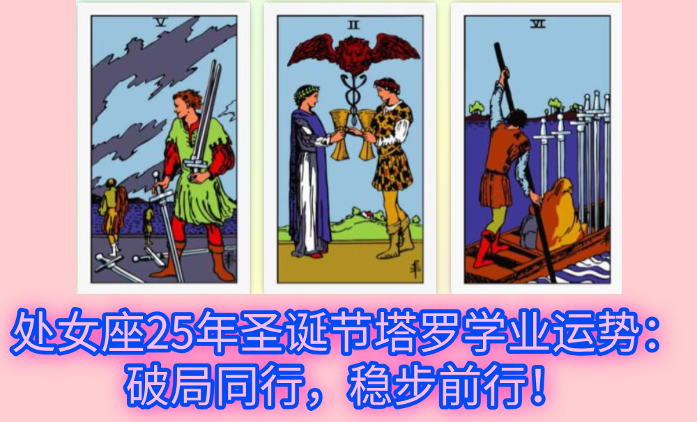 处女座25年圣诞节塔罗学业运势：破局同行，稳步前行！