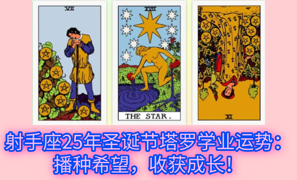 射手座25年圣诞节塔罗学业运势：播种希望，收获成长！