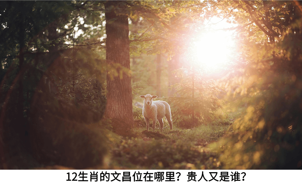 12生肖的文昌位在哪里？贵人又是谁？