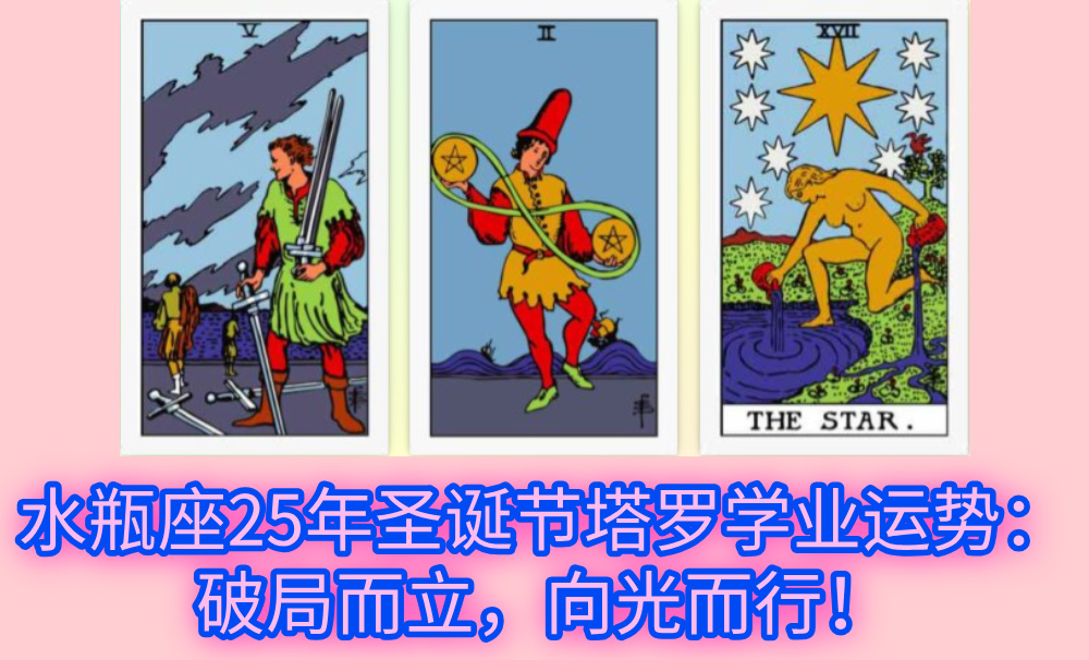 水瓶座25年圣诞节塔罗学业运势：破局而立，向光而行！