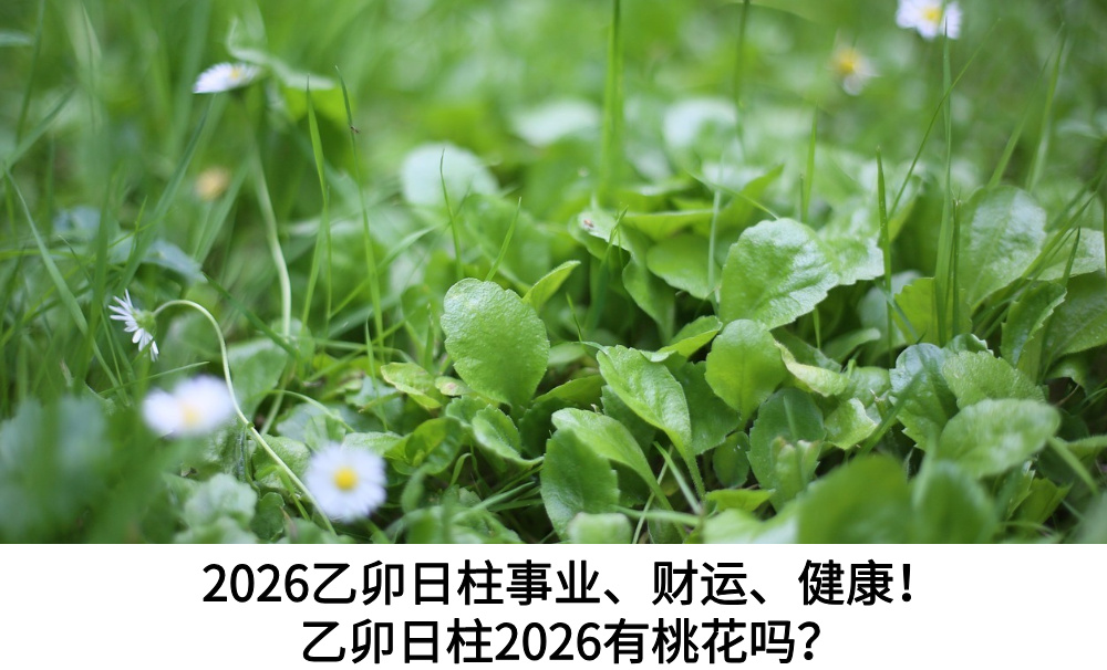 2026乙卯日柱事业、财运、健康！乙卯日柱2026有桃花吗？