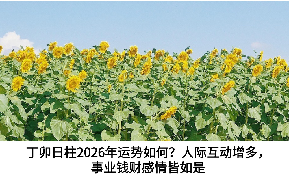 丁卯日柱2026年运势如何？人际互动增多，事业钱财感情皆如是