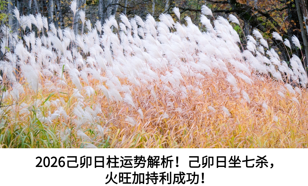 2026己卯日柱运势解析！己卯日坐七杀，火旺加持利成功！