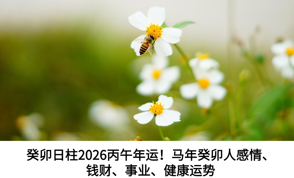 癸卯日柱2026丙午年运！马年癸卯人感情、钱财、事业、健康运势